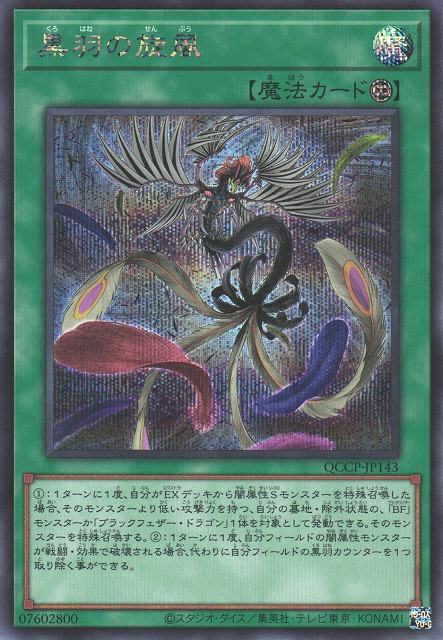 Black Feather Whirlwind [QCCP-JP143-SCR]