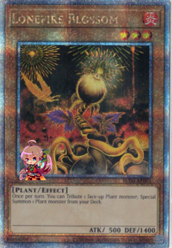 Lonefire Blossom [RC04-AE002-QCSCR]