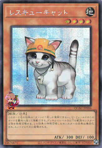 Rescue Cat [QCAC-JP006-SCR]