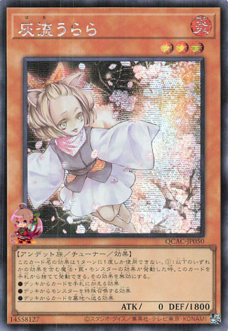 Ash Blossom & Joyous Spring [QCAC-JP050-SCR]