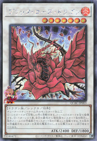 Black Rose Dragon [QCAC-JP003-SCR]