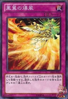 Phoenix Wing Wind Blast (Common) [SD24-JP033-C]