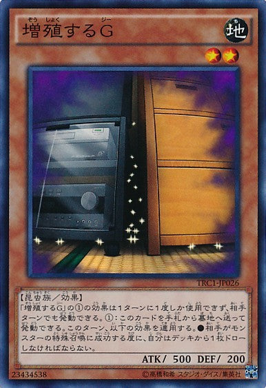 Maxx "C" [TRC1-JP026-CR]