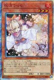 Ash Blossom & Joyous Spring [20TH-JPC85-20SCR]