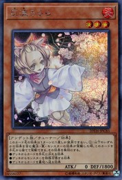 Ash Blossom & Joyous Spring [20TH-JPC85-SCR]