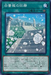 White Rose Cloister [20PP-JP011-C]