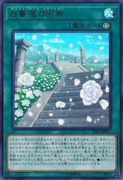 White Rose Cloister [20PP-JP011-UR]