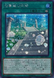 White Rose Cloister [20PP-JP011-SCR]