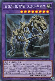 Fossil Dragon Skullgios [CP20-JP009-CR]