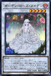 Garden Rose Maiden [DP21-JP023-UR]