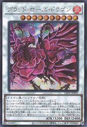 Blood Rose Dragon [LIOV-JP035-SCR]