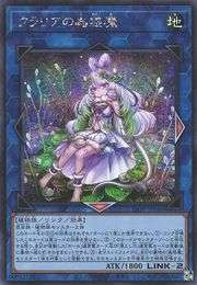 Traptrix Utricularia [LIOV-JP046-SCR]