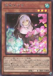 Ghost Sister & Spooky Dogwood (Alternate Art) [PAC1-JP018-AA-SCR]