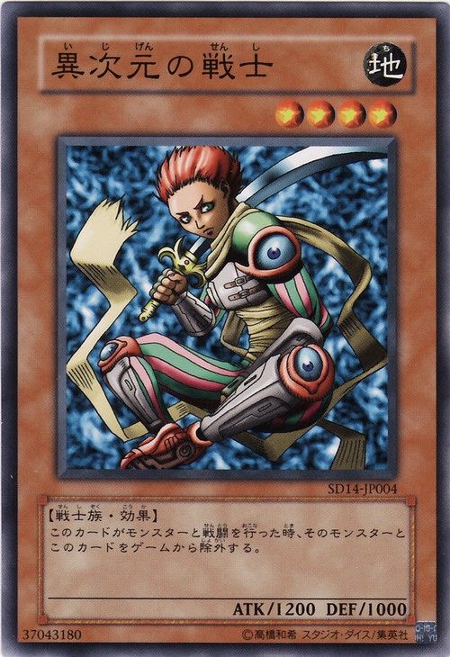 D.D. Warrior (Common) [SD14-JP004-C]