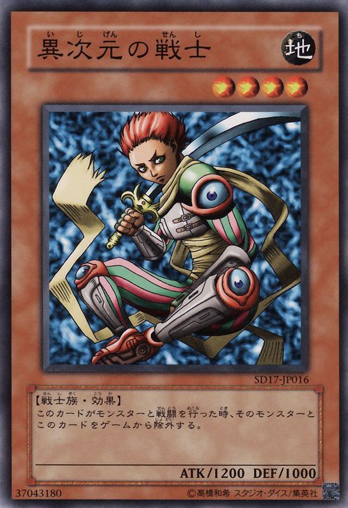 D.D. Warrior (Common) [SD17-JP016-C]