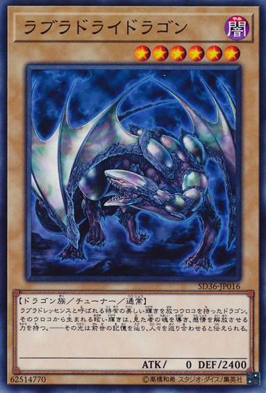 Labradorite Dragon [SD36-JP016-C]