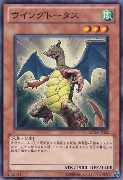 Wingtortoise [GENF-JP022-C]