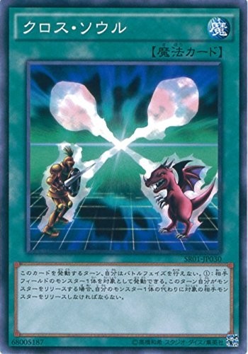 Soul Exchange [SR01-JP030-C]