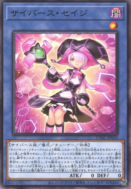 Cyberse Sage [CYAC-JP033-C]