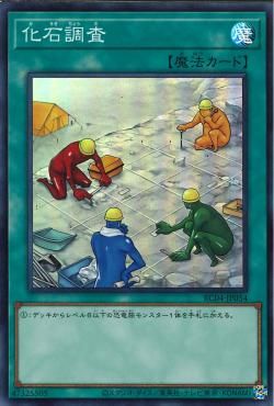 Fossil Dig [RC04-JP054-SR]