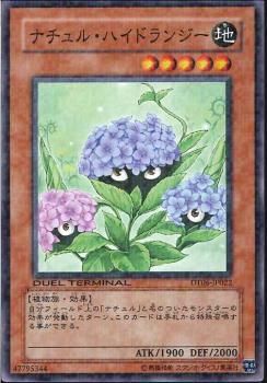 Naturia Hydrangea [DT06-JP022-DTNPR]