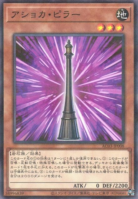 Ashoka Pillar [AC03-JP008-NPR]