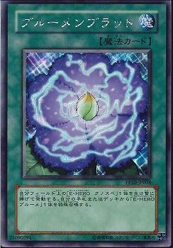 Rose Bud [PP10-JP008-SCR]