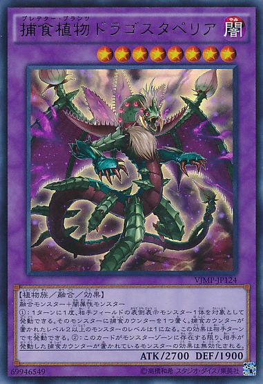 Predaplant Dragostapelia [VJMP-JP124-UR]