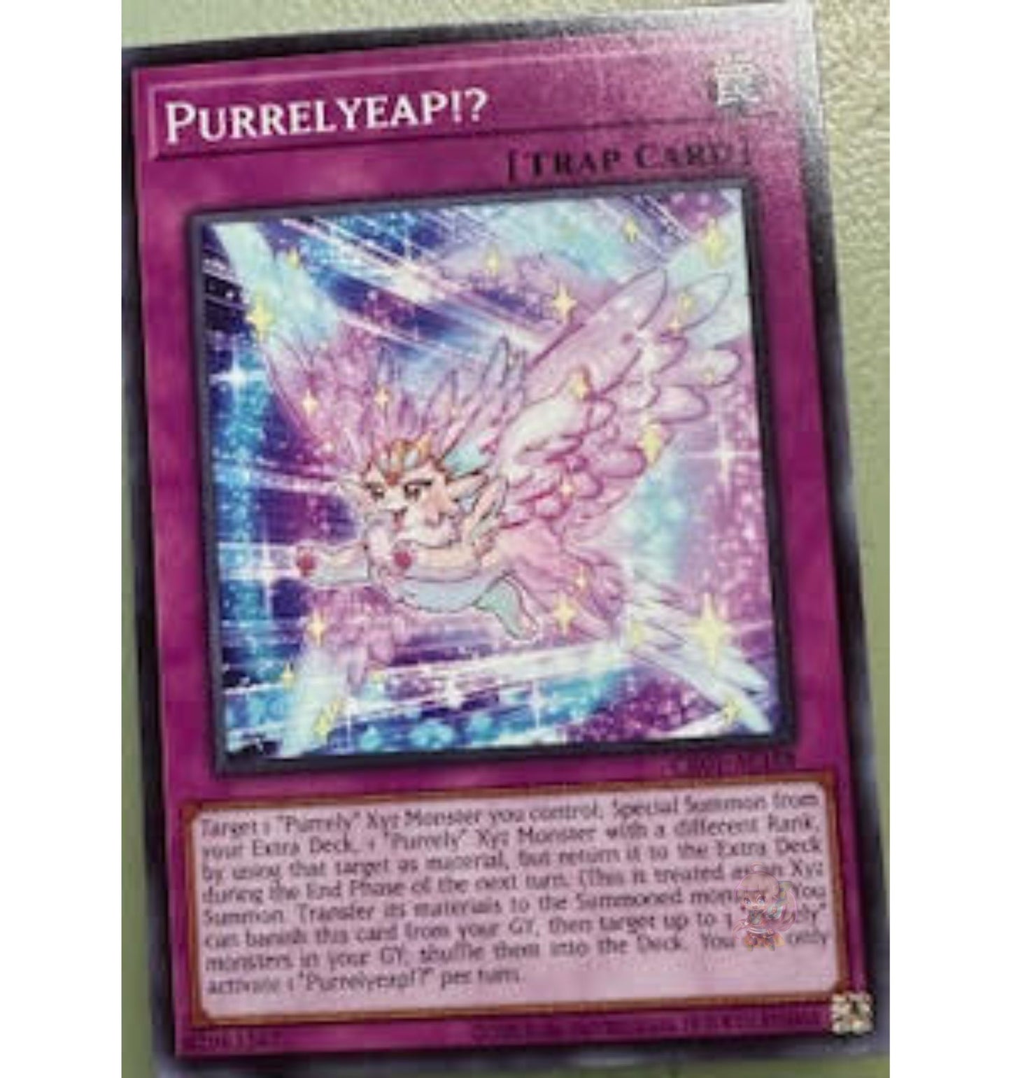 Purrelyeap!? [CR01-AE188-C]