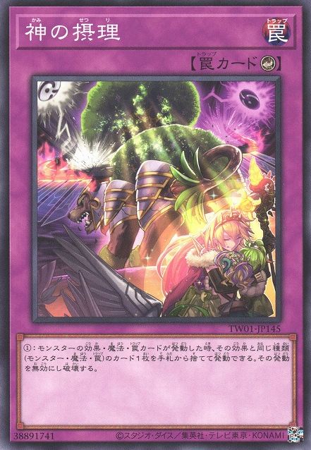 Ultimate Providence [TW01-JP145-C]