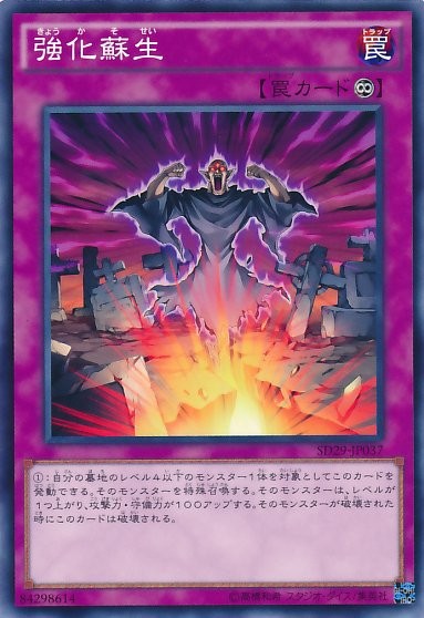 Powerful Rebirth [SD29-JP037-C]