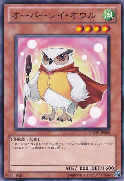 Overlay Owl [GAOV-JP003-C]