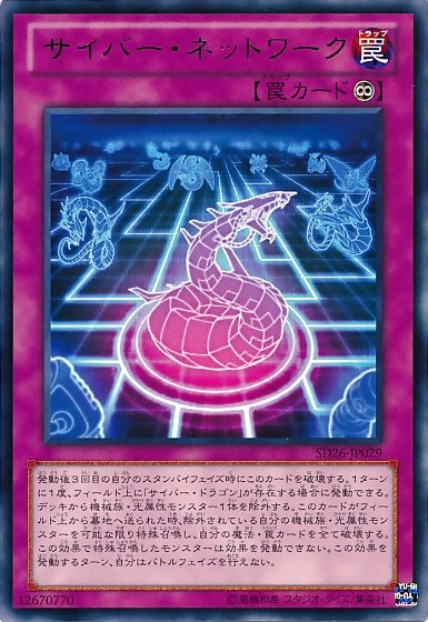 Cyber Network [SD26-JP029-R-R]