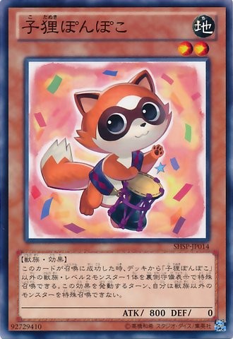 Baby Raccoon Ponpoko [SHSP-JP014-C]