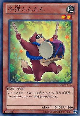 Baby Raccoon Tantan [SHSP-JP015-C]