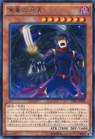 Black Dragon Ninja [TDIL-JP036-R]