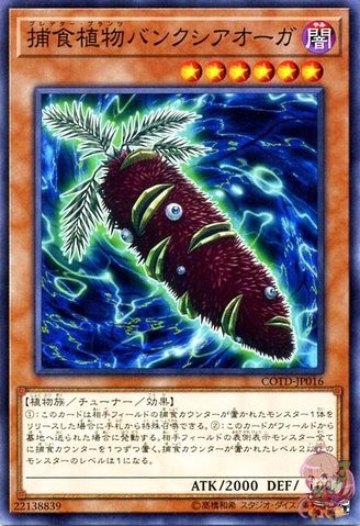 Predaplant Banksia Ogre [COTD-JP016-C]