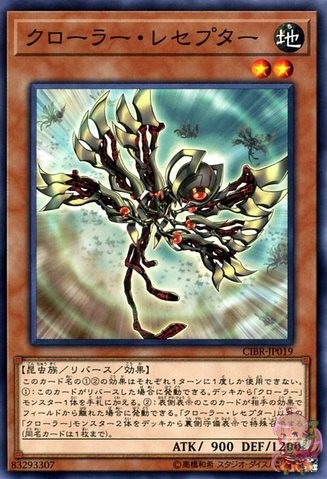 Crawler Receptor [CIBR-JP019-C]