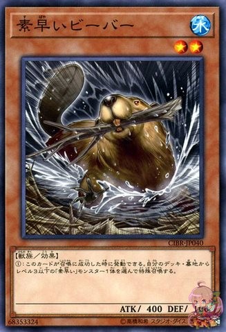 Nimble Beaver [CIBR-JP040-NR]