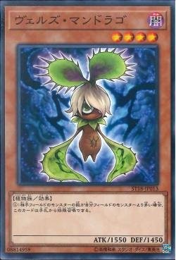 Evilswarm Mandragora [ST18-JP013-C]