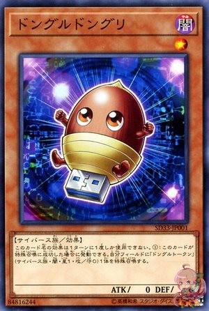 Dongle Acorn [SD33-JP001-C]