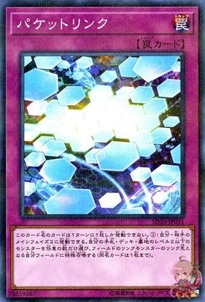 Packet Link [SD33-JP031-NPR]