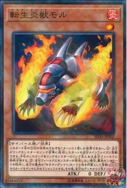 Salamangreat Mole (Normal Parallel Rare) [SD35-JP002-NPR]